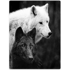 Violetpos Bieza sega Soft Warm Cosy Flannel Fleece Sofa Blanket Lid Blanket Black and White Wolves Viewing Distance 150 x 200 cm