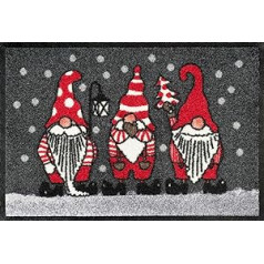 Wash+Dry Doormat Winter Gnomes 40 x 60 cm, mazgājams lietošanai iekštelpās un ārā