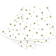 „Folia 5800 Photo Card Star“ – 50 x 70 cm, 10 lapų, mėlyna/balta