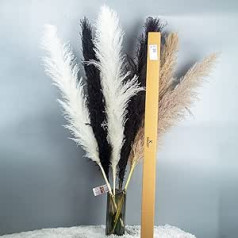 KUNSTIFY XXL Pampas Grass 100 cm, Dabiski kaltētu ziedu dekoru komplekts (6 x Mix XXL Pampas)