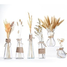 Winter Shore Small Vases for Table Decoration [Pack of 6] - Flower Vase Vintage Various Shapes - Table Vases Small with Non-Slip Base & Brown Rope - Rustic Vases Small Table Decoration & Wedding