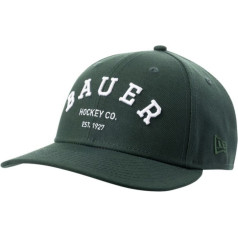 NE Low Profile 9Fifty Sr beisbola cepure 1063844 / green