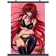 KARMA-X Liels 60 x 90 cm Highschool DxD Kakemono Roll Picture Anime Manga Auduma plakāts Wallscroll Plakāts Sienas dekorēšana Dāvanu Rias