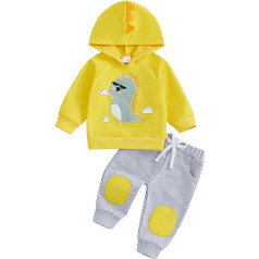 WERNZATT-Toddler kūdikių berniukų apranga ilgomis rankovėmis siuvinėjimo dinozauras Hoodie elastingas juosmuo Sweatpants rudens apranga