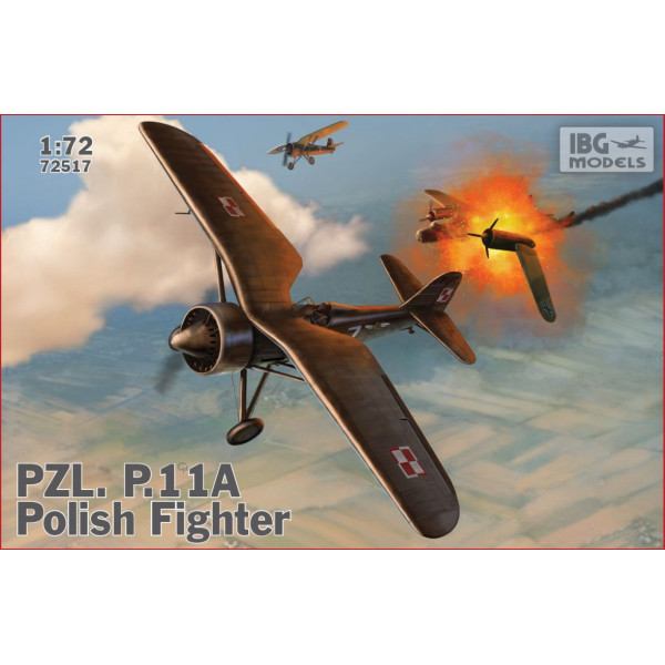 Plastmasas modelis pzl p.11a