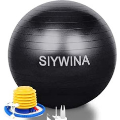 SIYWINA Exercise Ball Thick Anti-Burst Pregnant Yoga Pilates Ball Fitness Ball with Ball Pump