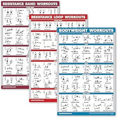 Palace Learning 3 komplekts: pretestības joslu vingrinājumu plakāts + pretestības cilpas treniņi + ķermeņa svara vingrinājumi — 3 treniņu diagrammu komplekts (lamināts, 18 x 24 collas)