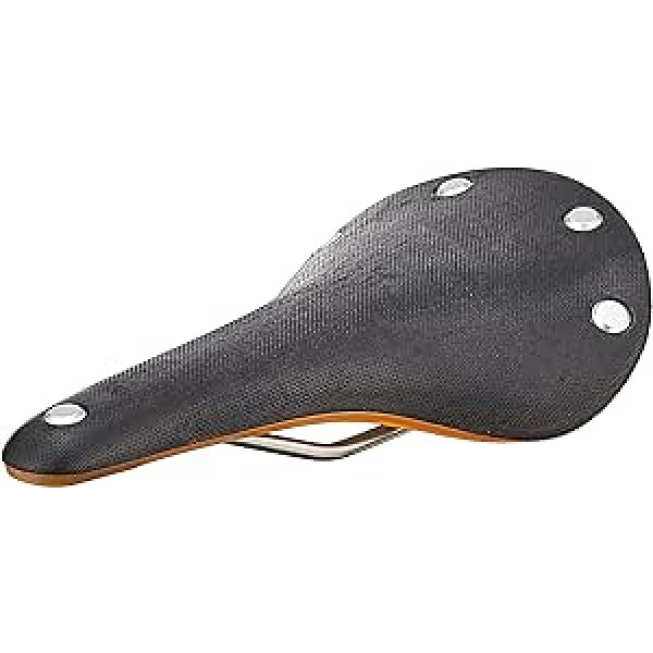 Brooks Cambium C17 - velosegli