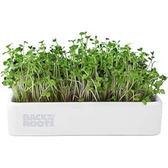 Atpakaļ uz saknēm 43002 Organic Microgreens Grow Kit ar keramikas stādītāju