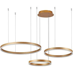 STARRYOL moderna LED lustra viesistabai ēdamistabai 86W 2700-6500K Regulējama ar tālvadības pulti Gold 3 gredzeni 30x40x60cm