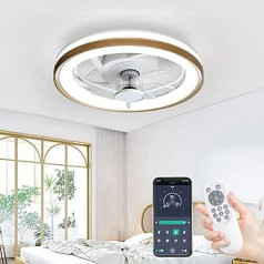 Ceiling Fan with Lighting 40 W Dimmable Ceiling Fan with Lamp 3000-6500 K Invisible Fan Ceiling Light Remote Control 6 Speeds for Living Room Bedroom Dining Room Diameter 48 cm