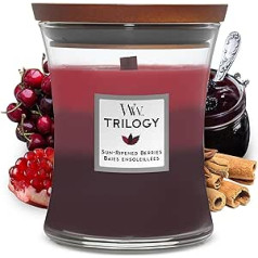 Large WoodWick Trilogy Scented Candle in Hourglass Form with Crinkle Wick, Sun Ripened Berries, Up to 130 Hours Burn Time, Large Hourglass