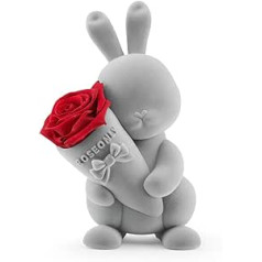 roseonly. Eternal Rose with Cute Rabbit, Preserved Roses, Infinity Rose Rabbit Figure Gifts for Women for Birthday, Valentine's Day, Christmas, Mother's Day, Anniversary (Standard, Grey/Red)