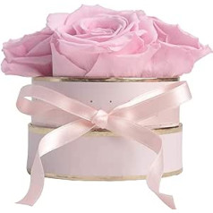 Rosmarie Schulz Heidelberg Rose Box, White Round Infinity Rose, Flower Box Preserved Rose