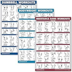 Palace Learning 3 komplekts — hanteles treniņi + ķermeņa svara vingrinājumi + pretestības joslu plakātu komplekts — 3 treniņu diagrammu komplekts (lamināts, 18 x 24 collas)