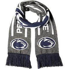 FOCO Unisex Adult Charcoal Grey Scarf