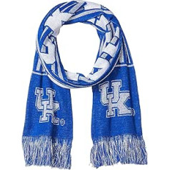 FOCO NCAA Glitter Stripe Scarf