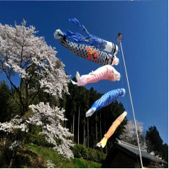 Bluelover 1 Set 5 Stück Japanische Flagge Carp Carp Banner Windsock Sailfish Koinobori Wind Streamer mehrfarbig Fisch