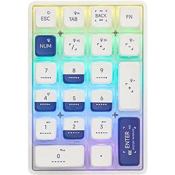 EPOMAKER LEOBOG K21 21-Key Numpad with Cable/Bluetooth/Wirelesss, Transparent Mechanical Keyboard with Hot-Swap, 6000 mAh Battery, NKRO, for Win/MAC/Office/Accounting (Moss, Ice Crystal Switch)