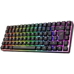 Spēlmaņa gars - Spēļu tastatūra bezvadu RGB - TKL tastatūra 65% - pusmehāniski taustiņi ar 25 anti-ghosting - bezvadu un Bluetooth savienojamība - savietojams ar spēļu datoru, viedtālruni, planšetdatoru