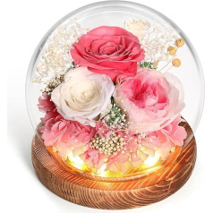 WYRIAZA Eternal Rose Glass Infinity Glass Rose Preserved Real Infinite Durable Pink Flower Dāvanas Sievietes Mamma Sieva Sieva draudzene Sieva Ziemassvētku Dzimšanas diena Jubileja Mātes diena Gaisma LED Eternal