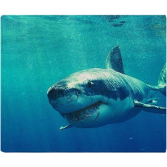 YISUMEI Sega 150 x 200 cm Mīļas segas Soft Flannel Soft Fleece Blanket Bed Throw Large White Shark