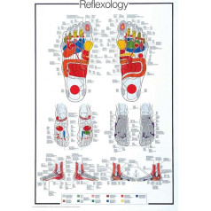 Izglītojoša - Izglītība pēdu refleksoloģija - Refleksoloģijas izglītojošs plakāts - angļu valodā - izmērs 68x98 cm