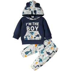 Borlai Baby Boys apģērbu apģērbs apģērbs ar garām piedurknēm Cute Ear Hoodie jaka ar kapuci Top + Dinozauru apdruku bikses jaundzimušo apģērbu komplekts