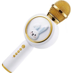ZS51 karaoke mikrofons bt skaļrunis
