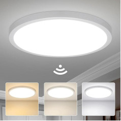 Yafido 28 W 2800LM LED griestu gaisma ar radaru un krēslas sensoru, diametrs 30 cm, 3 krāsas, 3000 K/4000 K/6000 K, apaļa griestu gaisma ar kustības sensoru, priekšnamam, kāpnēm, verandai, garāžai, balkonam