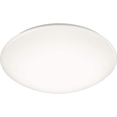 Reality lights R62601301 apmetums A+, LED griestu gaisma, plastmasas, 15 vatu, integrēta, balta, 37 x 37 x 12 cm