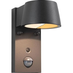 Paulmann Capea 94714 LED sienas gaisma ar kustības sensoru un kukaiņiem IP44 96 x 153 mm, regulējama, silta 6 W 450 lm 98° melna