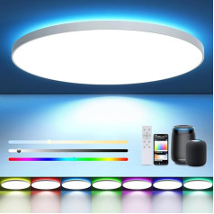 EASY EAGLE LED griestu gaisma ar regulējamu apgaismojumu: Griestu lampa, saderīga ar Alexa un Google Assistant, vannas istabai, viesistabai, guļamistabai, guļamistabai Diametrs 28 cm