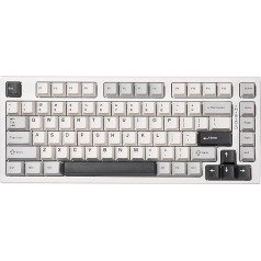 YUNZII YZ75 75% bezvadu spēļu mehāniskā tastatūra, RGB fona apgaismojums, BT5.0/2.4G/USB-C, dubultās PBT taustiņi Linux/Win/Mac (Gateron G Pro Brown, balta)