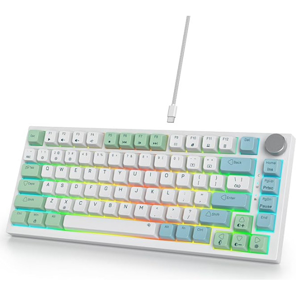 SOLIDEE vadu mehāniskā spēļu tastatūra 75%, karsti nomaināma mehāniskās tastatūras blīve, RGB apgaismojums, QWERTY 82 taustiņi TKL spēļu tastatūra, NKRO tastatūra ar rotējošo pogu (82 Mint)