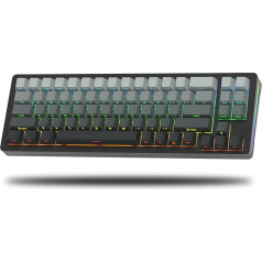 LQXQ SK71 68% mehāniskā tastatūra, Bluetooth 5.0/2.4GHz Wireless/USB-C kabelis, spēļu tastatūra, alumīnija CNC, nomaināma, RGB 14 für Mac/Win, melns, melns