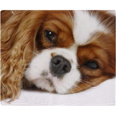 YISUMEI Cavalier King Charles Spaniel Mīļas segas Mīksta flaneļa flīsa sega Gultas pārklājs 150 x 200 cm