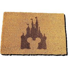 FastCraft Disney pils iedvesmoja Mickey Mouse laipni lūdzam durvju paklājs 60x40cm Kokosa šķiedras iekštelpu iekštelpu iekštelpu iekštelpu iekštelpās