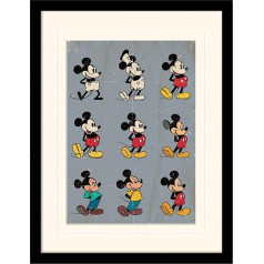 Pyramid International Mickey Mouse (Evolution) 30 x 40 cm, ierāmēts un montēts, 250 GSM PAPERWRAP MDF, daudzkrāsains, 44 x 33 x 4 cm