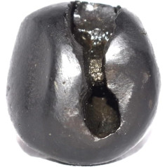 Adwaitya Golden ChinnaMasta Dasha MahaVidya Shaligram, Fossil, Fossil