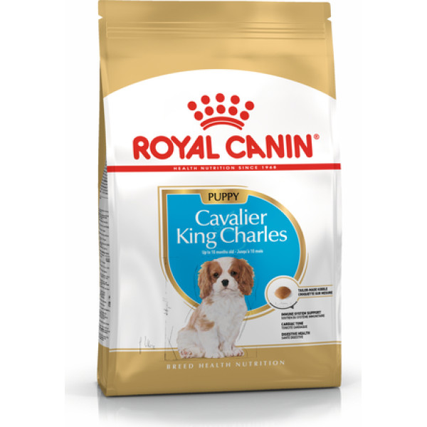 bhn cavalier king charles spaniel šuniukas - sausas maistas šuniukams - 1,5 kg