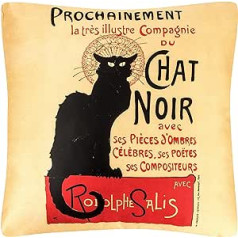 VON LILIENFELD dekoratīvā spilvena mākslas motīvs Chat Noir Cat 40 x 40 cm Dīvāna spilvens Dekoratīvs mājas viesistabas spilvena pārvalks ar abām pusēm apdrukātu pildījumu