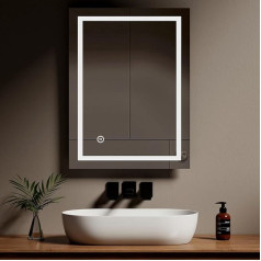 EMKE Apgaismots LED vannas istabas spogulis ar skuvekļa ligzdu 800 x 600 mm Vannas istabas spogulis ar drošinātāju Demister Pad Wall Mounted Vanity Spogulis Enerģijas taupīšanas spogulis [horizontāls/vertikāls]