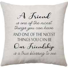 Aconesong MEET024 A Friend is One of Nicest Things You Can Have - Long Distance Friendship Gifts Cushion Cover 18x18 Inch