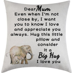 Big Hug To My Mum Cushion Cover (Liels apskāviens manai mammai)