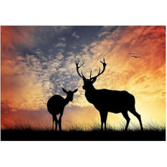 The Art Stop FOTO KOMPOZĪCIJA DEER SILHOUETTE SUNSET SKY STAG FRAMED PRINT PICTURE F12X814