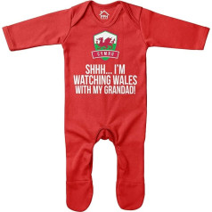 Violetinės spalvos spausdinimo namas Kūdikis Shhhhh I'm Watching Wales with My Grandad Romper - juokingas kūdikio skelbimas Futbolo regbio ženkliukas Velso dovana kūdikiui - raudona kūdikio Cymru fanų apranga, raudona, 6-12 mėn.