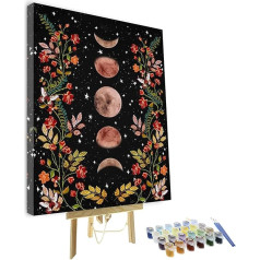 TISHIRON Moonlit Garden Paint by Numbers Mēness fāze, ko ieskauj vīnogulāji un ziedi Melns krāsošanas komplekts pieaugušajiem bērniem Unikāla dāvana 16 x 20 collas ar rāmi