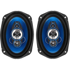 Terisass TP-6971 6 x 9 collu 1000 W auto o koaksiālais skaļrunis Stereo 2 gab Auto skaņas skaļrunis