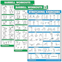 Palace Learning Barbell Workout plakātu lente 1 un 2 + stiepšanās vingrinājumu diagramma — 3 plakātu komplekts (lamināts, 18 x 24 collas) 3 pack.